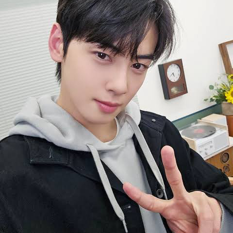 아스트로 팬이 찍은 순간