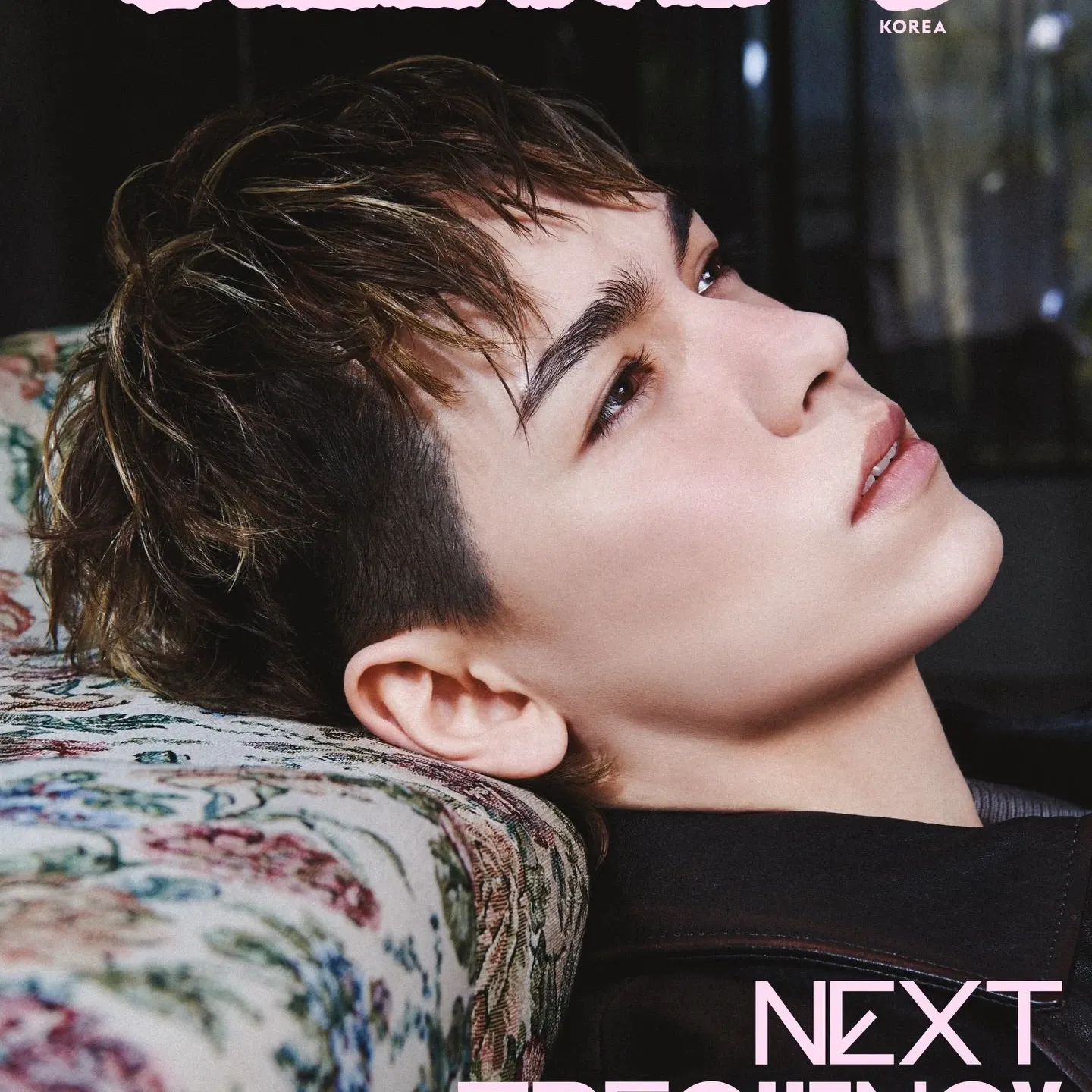 세븐틴 팬이 찍은 순간