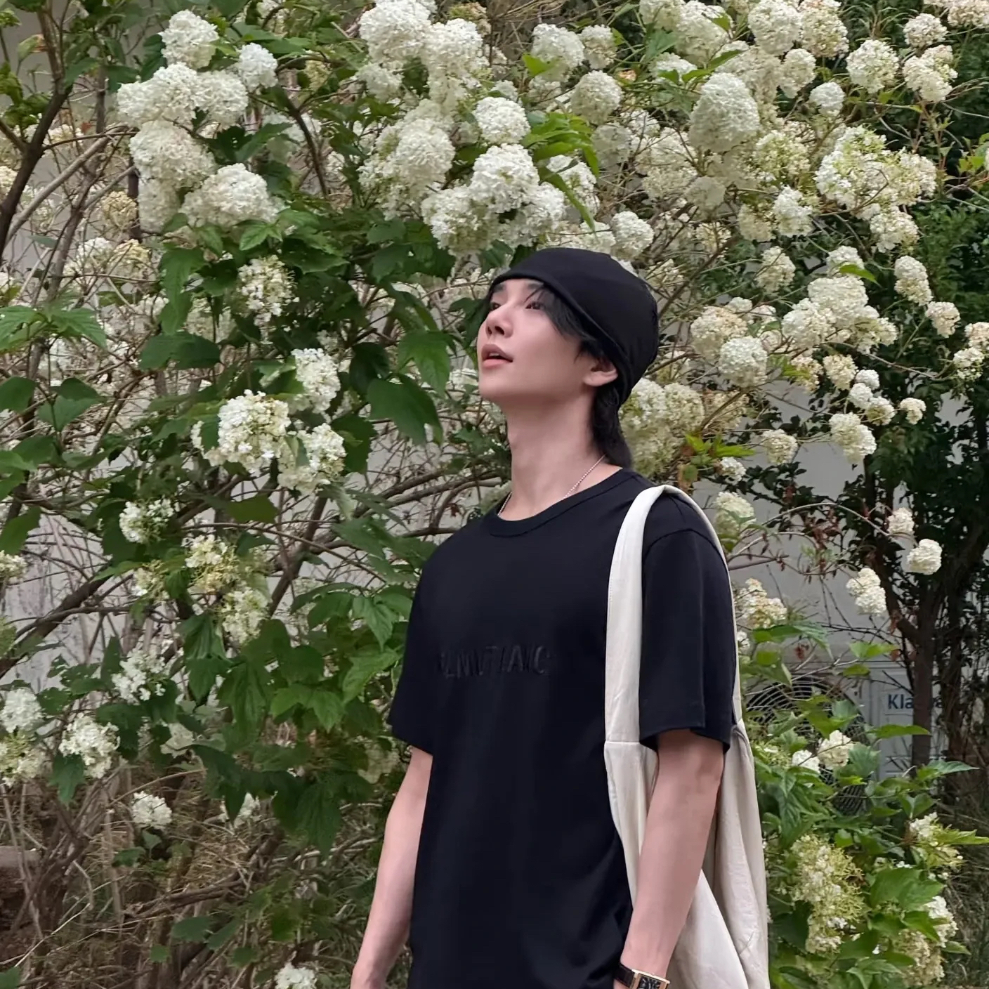 A moment captured by Joshua (SEVENTEEN)'s fan