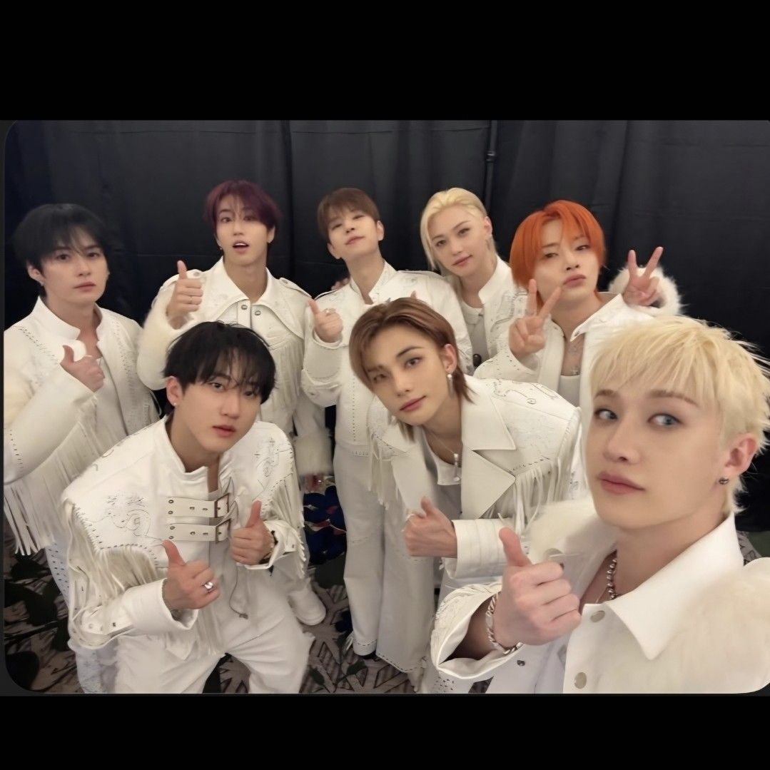 Stray Kids 팬이 찍은 순간