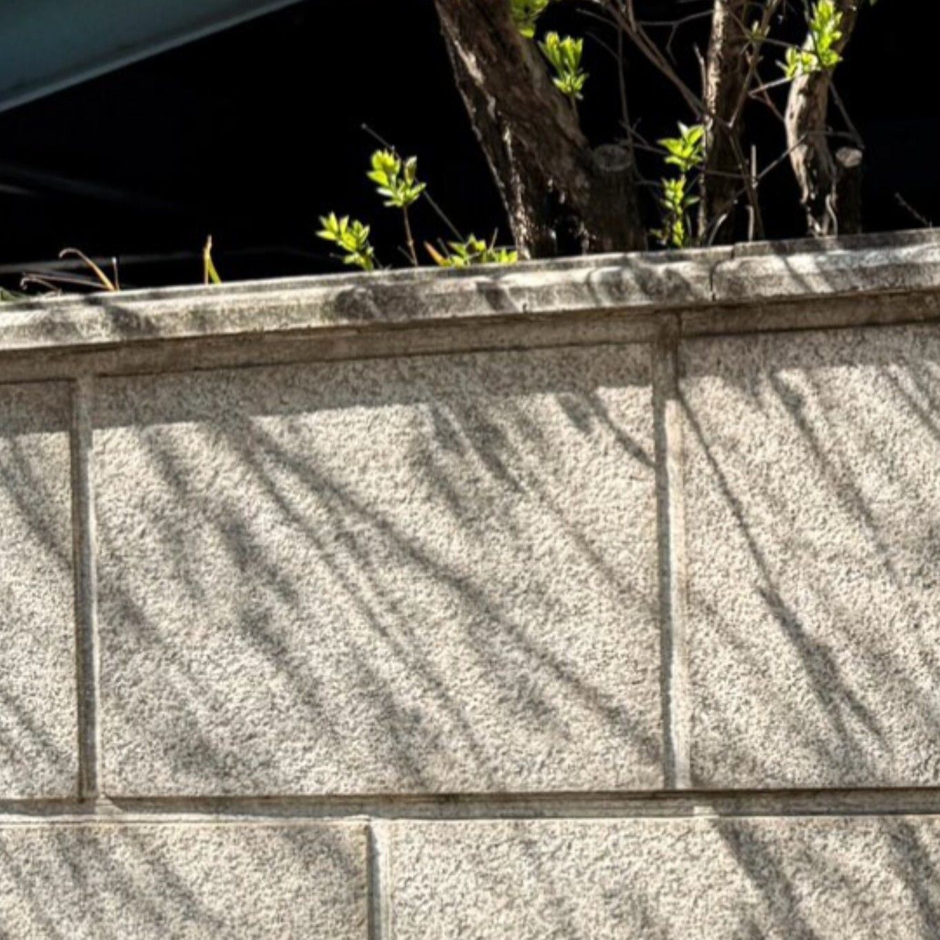 A moment captured by Lee Eunsang (YOUNITE)'s fan