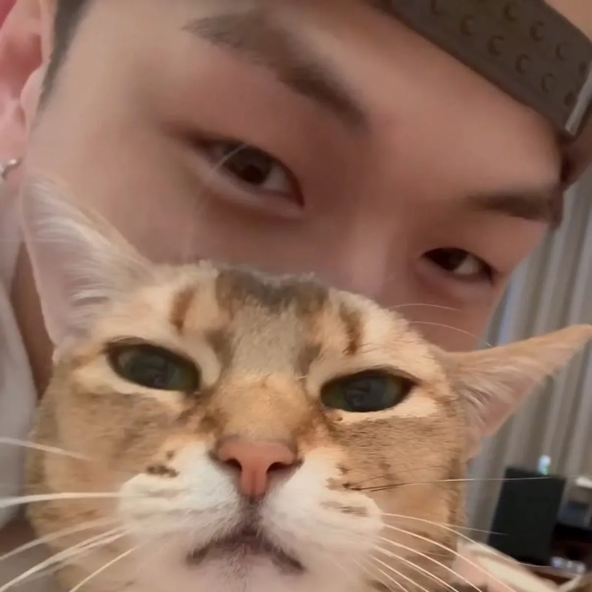 강다니엘 팬이 찍은 순간