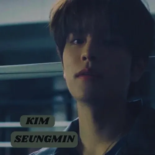 Recent activity shot of Seungmin (Stray Kids)