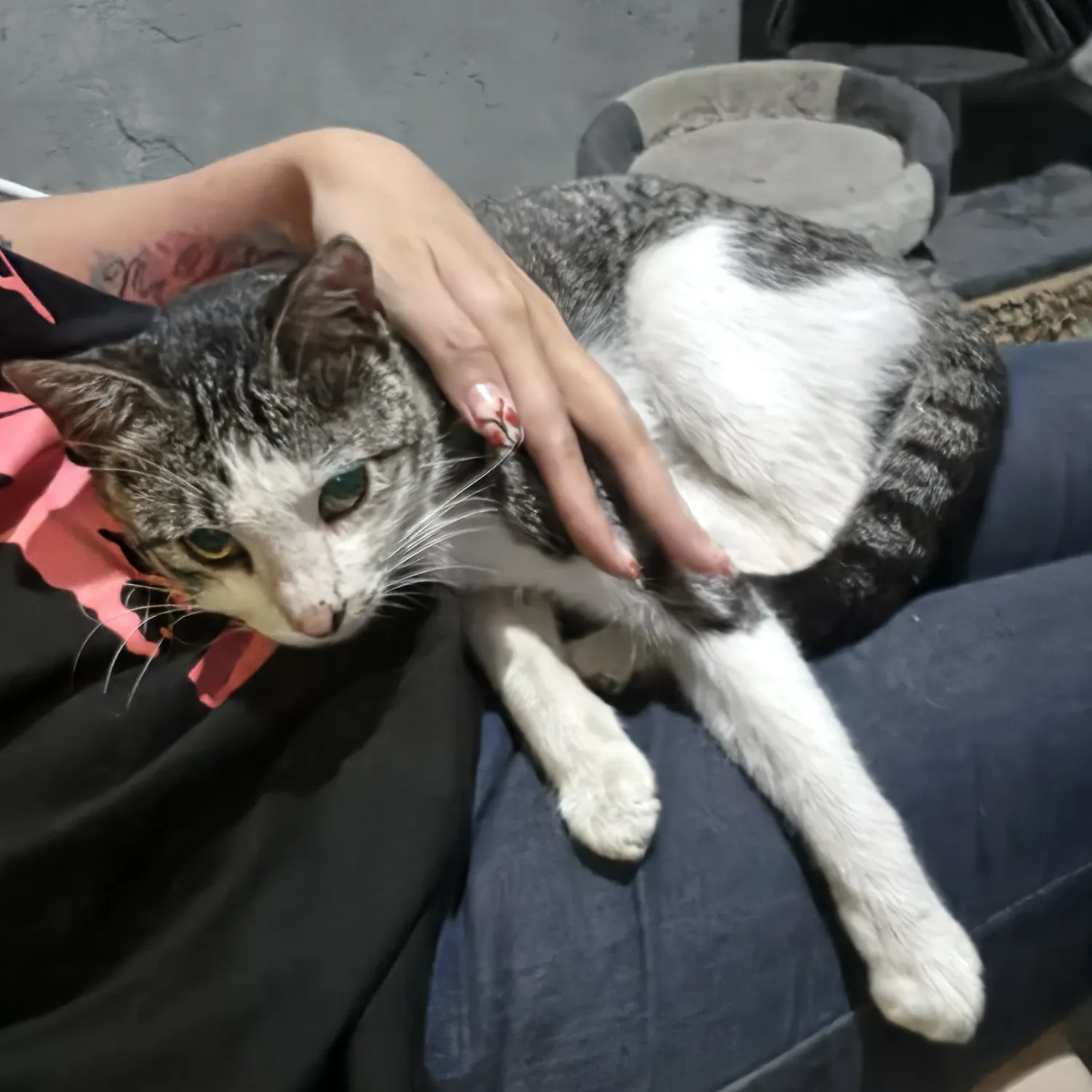 세븐틴의 최신 사진