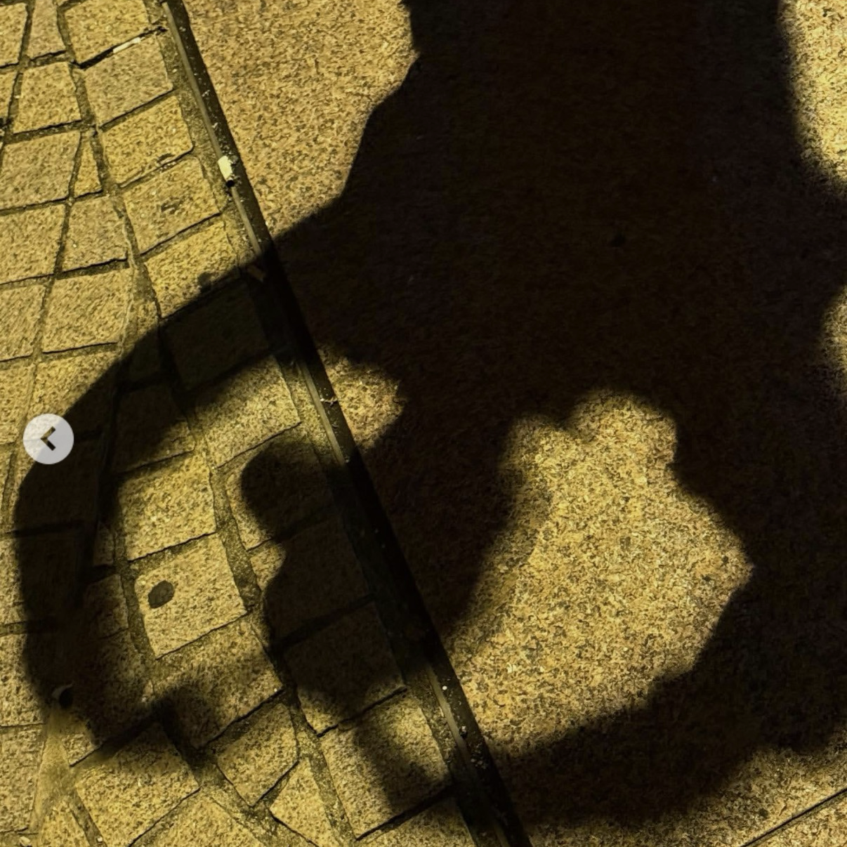 崔傘 (ATEEZ)的最新活動照片