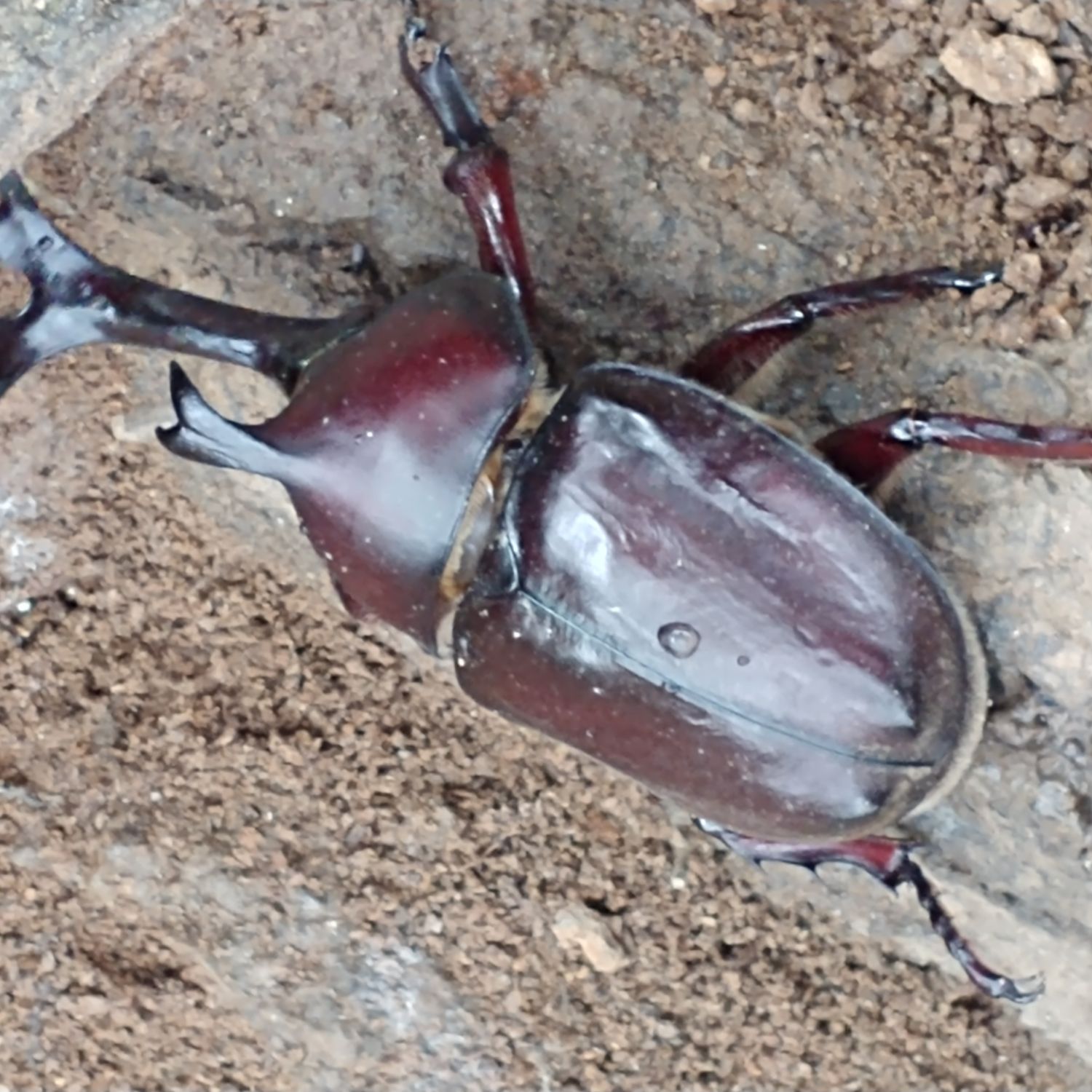 방탄소년단 최근 활동샷