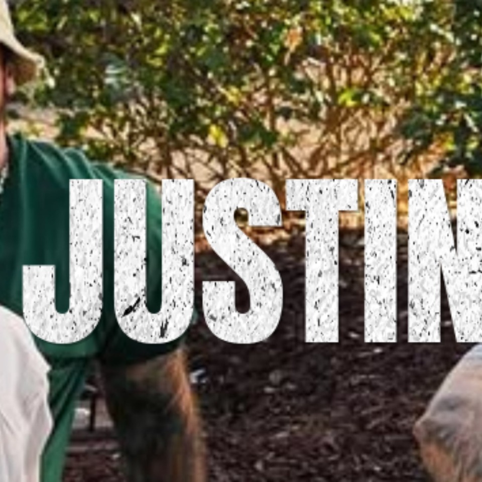 Latest photo of Justin Bieber