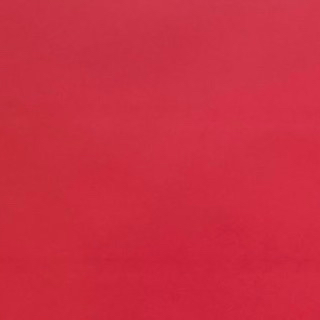 A moment captured by Nishihata Daigo (Naniwa Danshi)'s fan