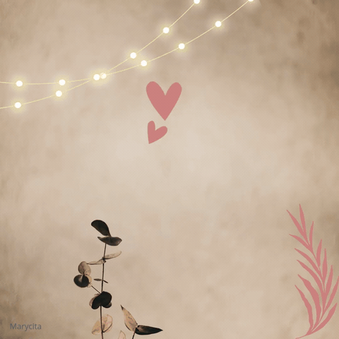 슈가 (방탄소년단) 팬이 찍은 순간