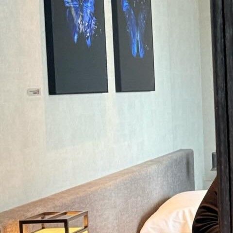 Foto terbaru Solar (MAMAMOO)