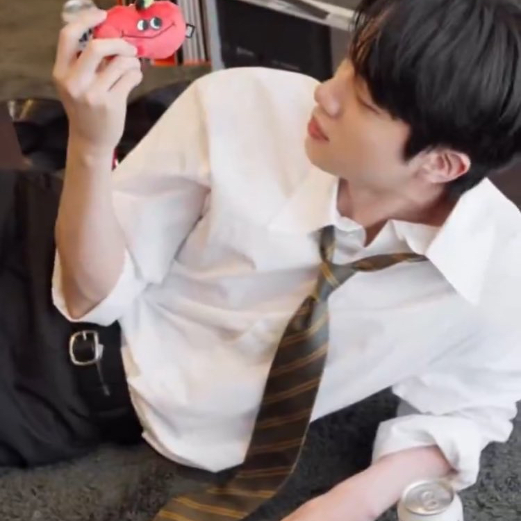 진 (방탄소년단) 팬이 찍은 순간