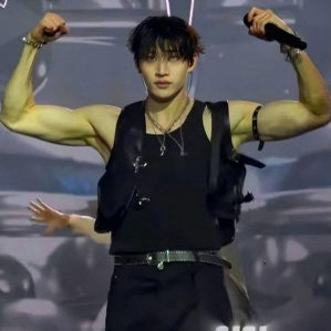 K-POP posts beloved by Stray Kids fans