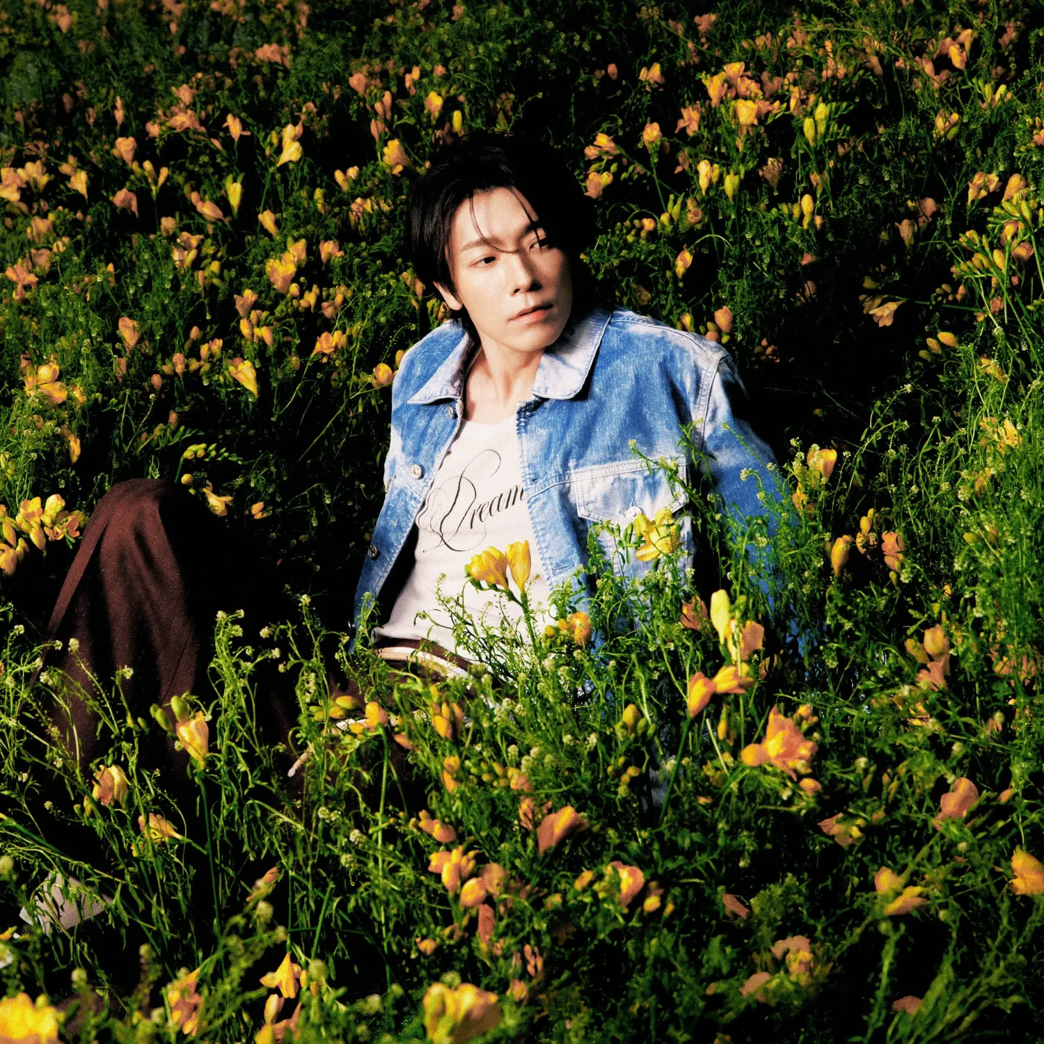 Potret di balik layar Donghae (Super Junior)