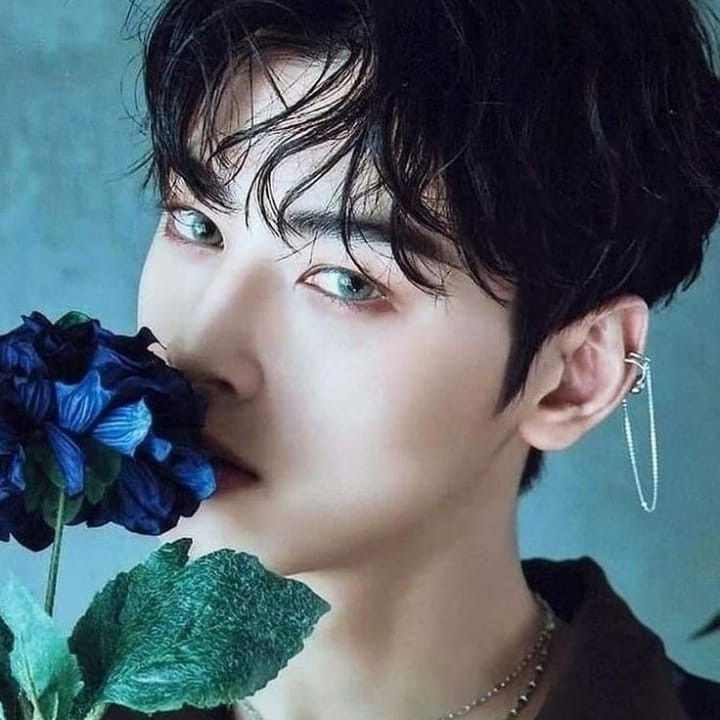 A moment captured by Eunwoo (ASTRO)'s fan