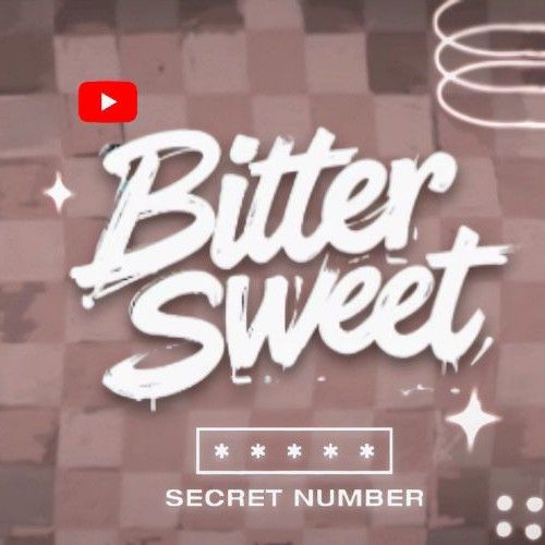 SECRET NUMBER 팬이 찍은 순간