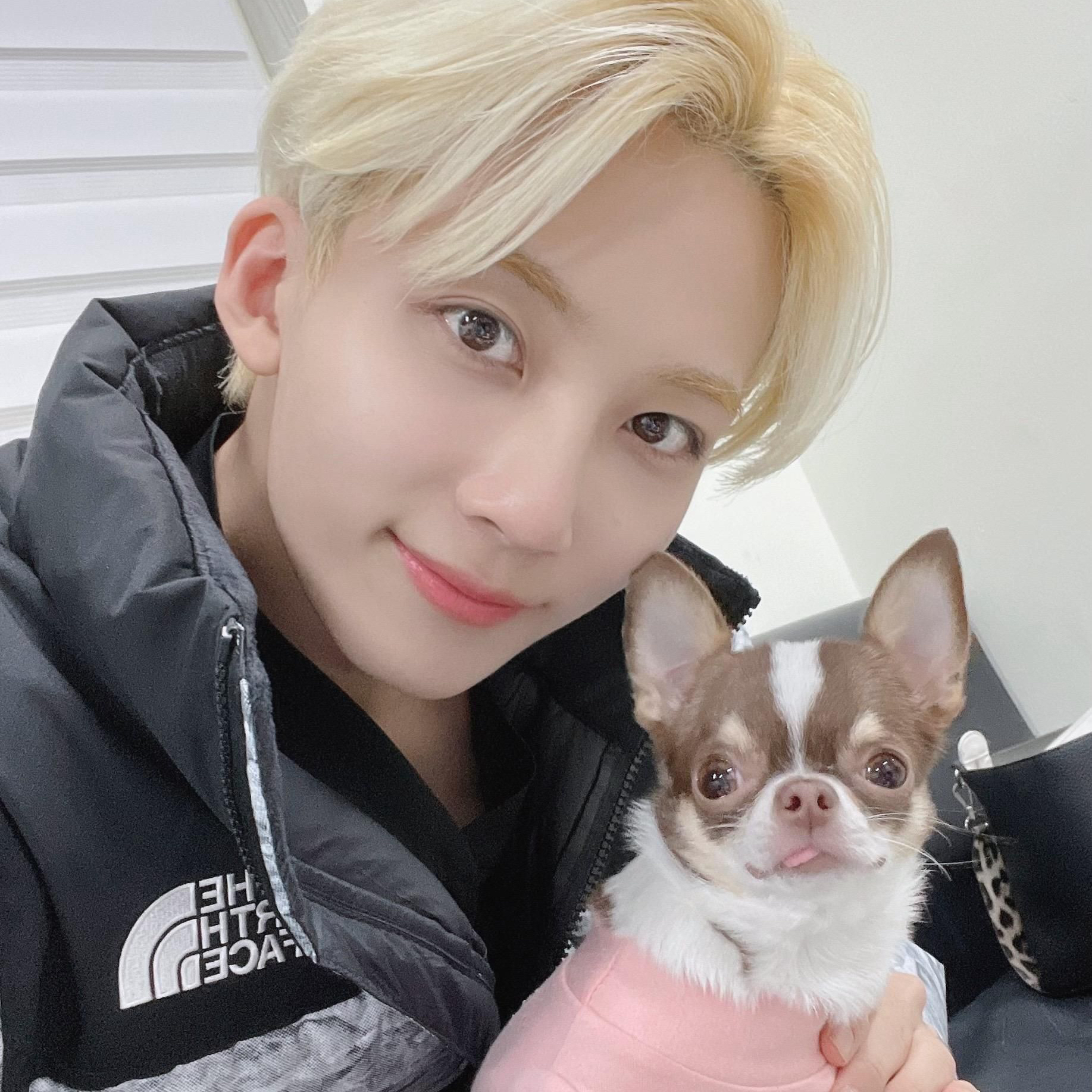 세븐틴 팬이 찍은 순간