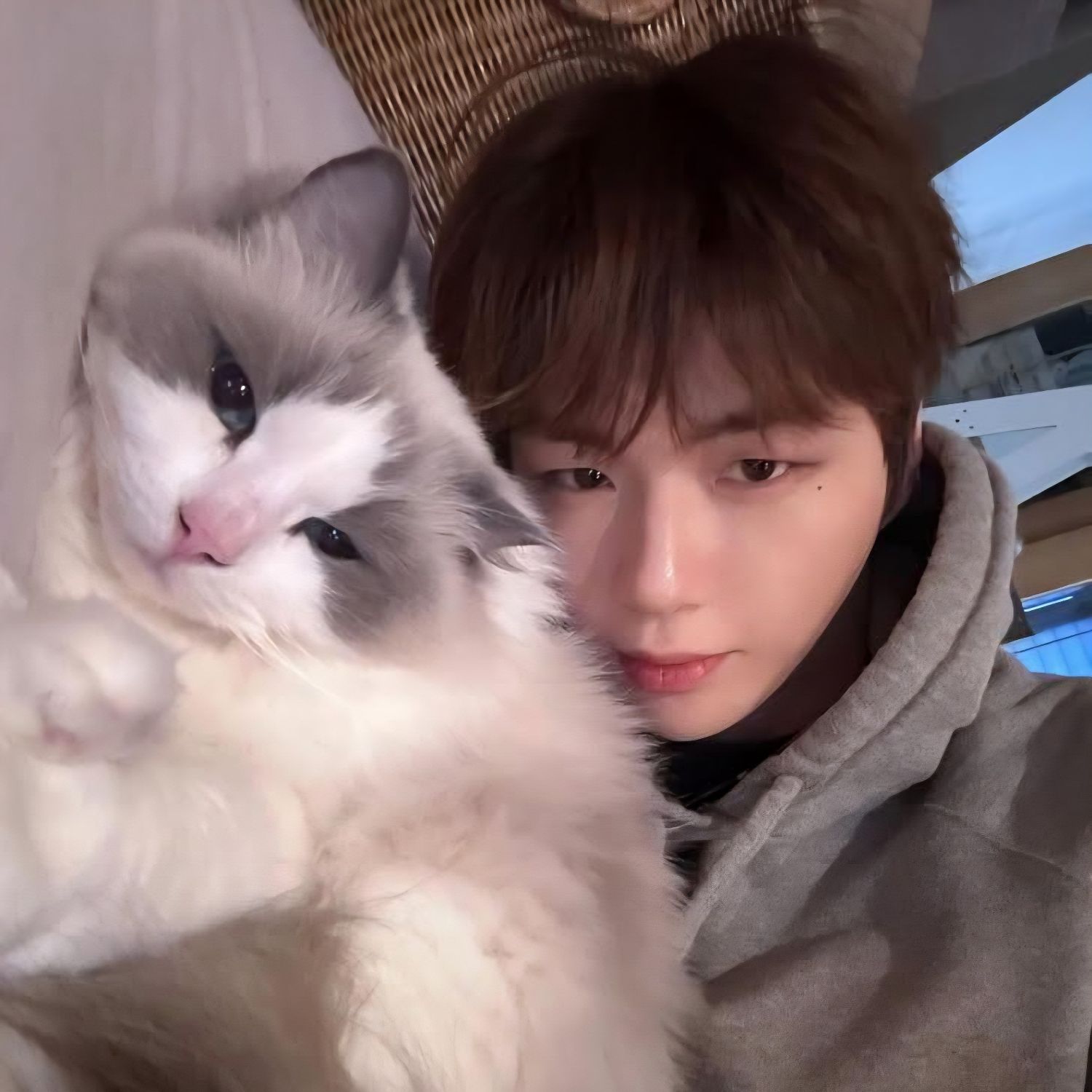 강다니엘의 최신 사진