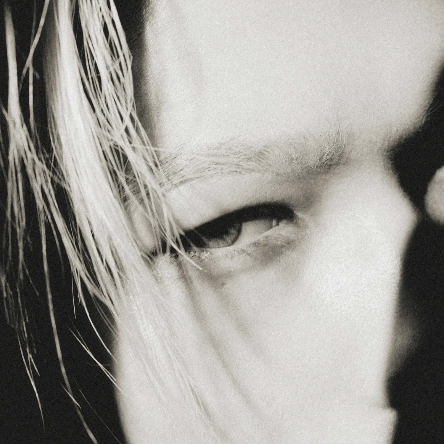 ENHYPEN的最新照片