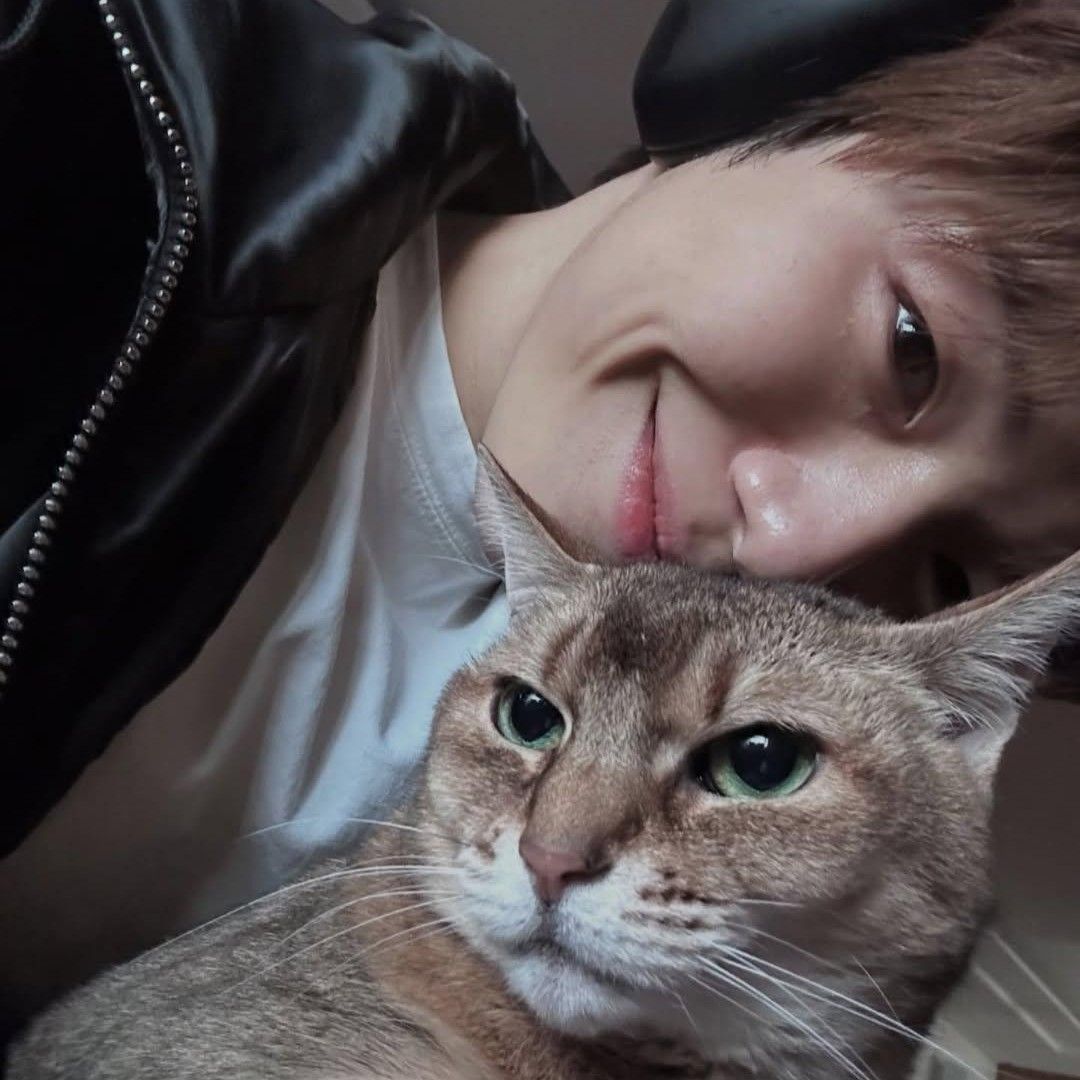 姜丹尼爾粉絲拍下的瞬間