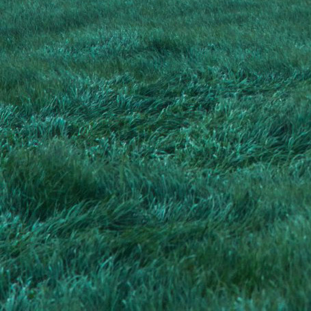 Behind-the-scenes cut of LUCY