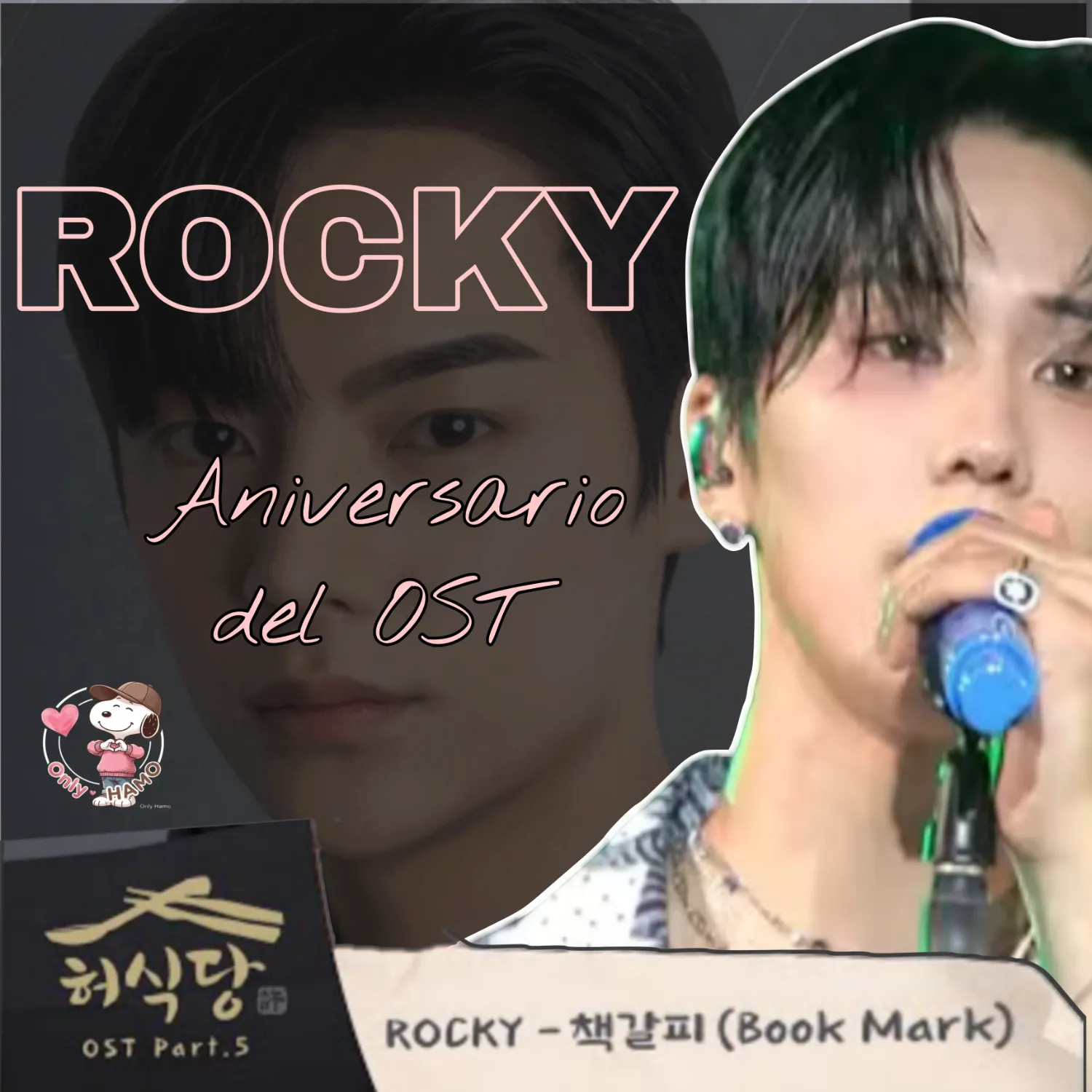 Recent activity shot of Rocky