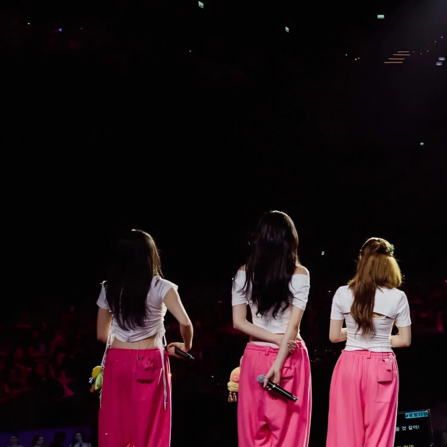 A moment captured by I.O.I's fan