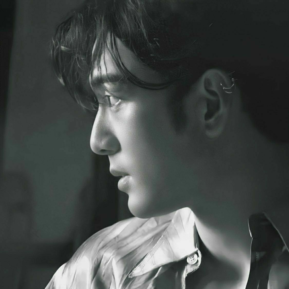 白虎的最新照片