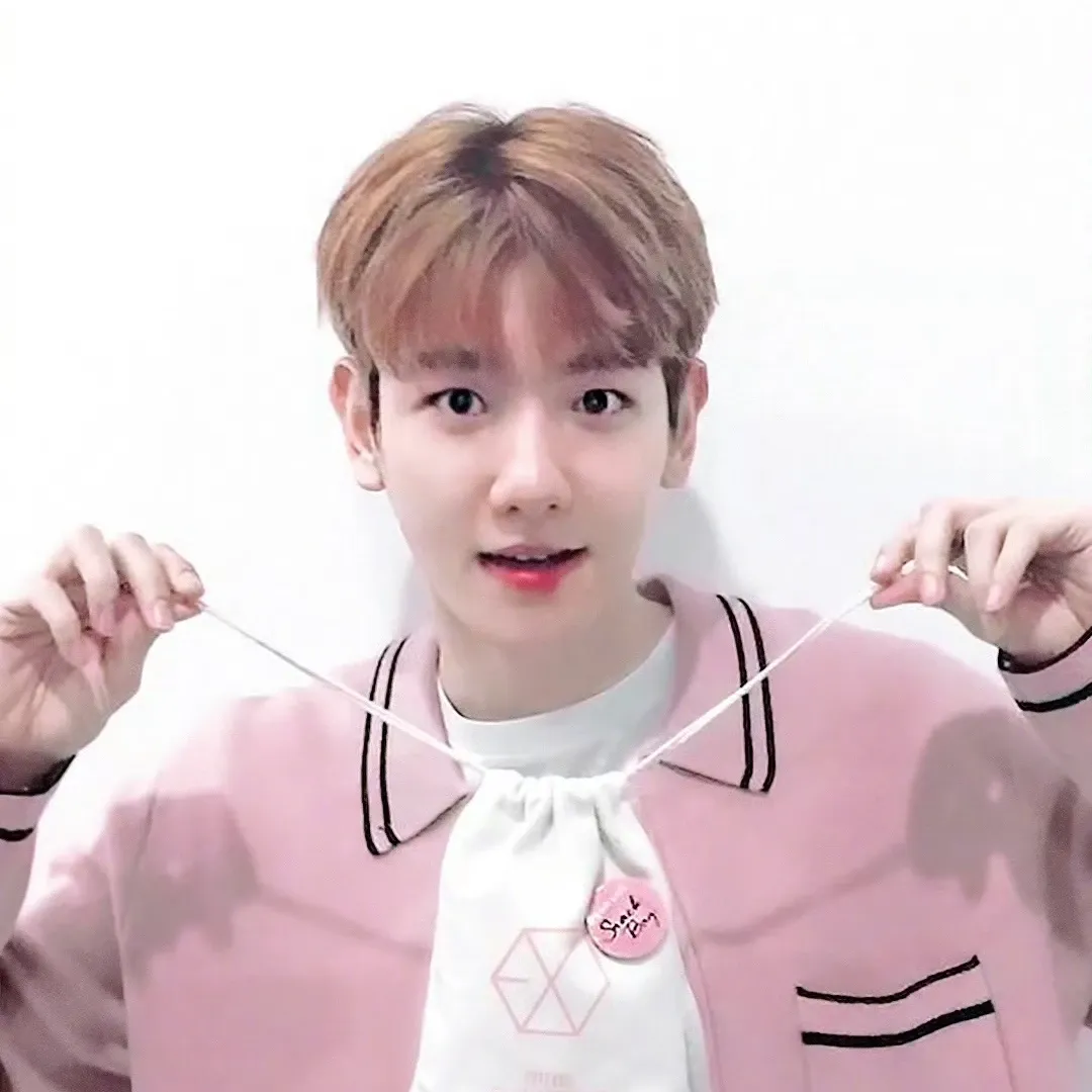 伯賢 (EXO)的幕後花絮