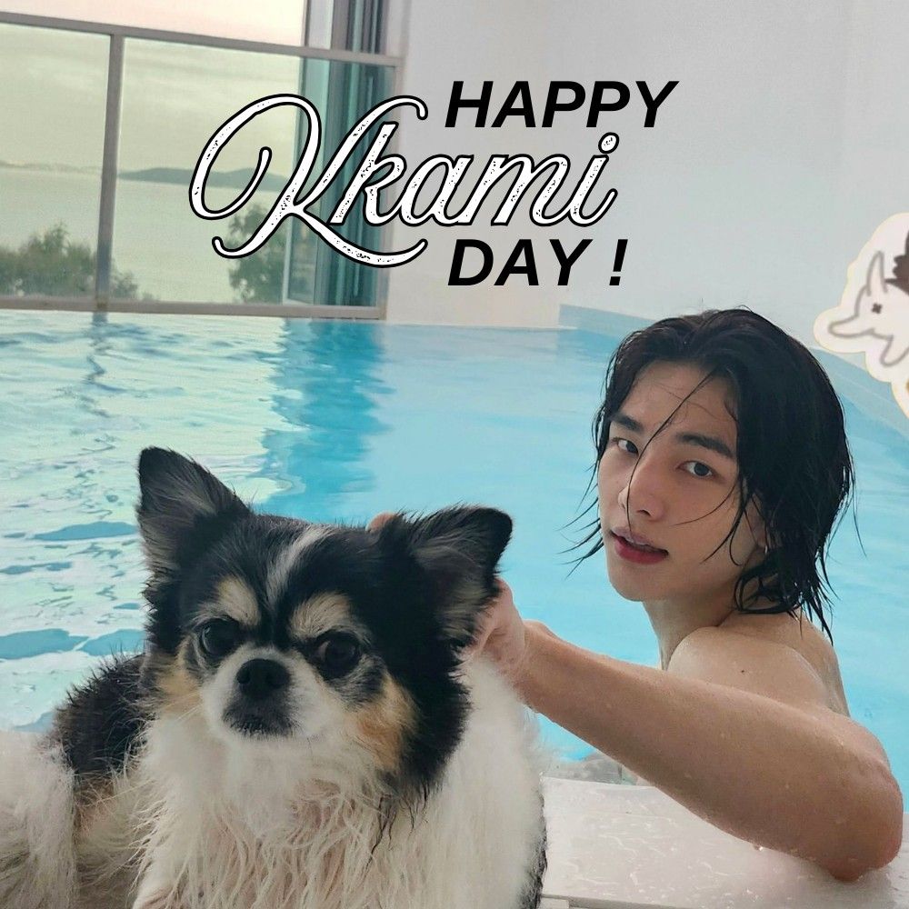 K-POP posts beloved by 현진 (Stray Kids) fans