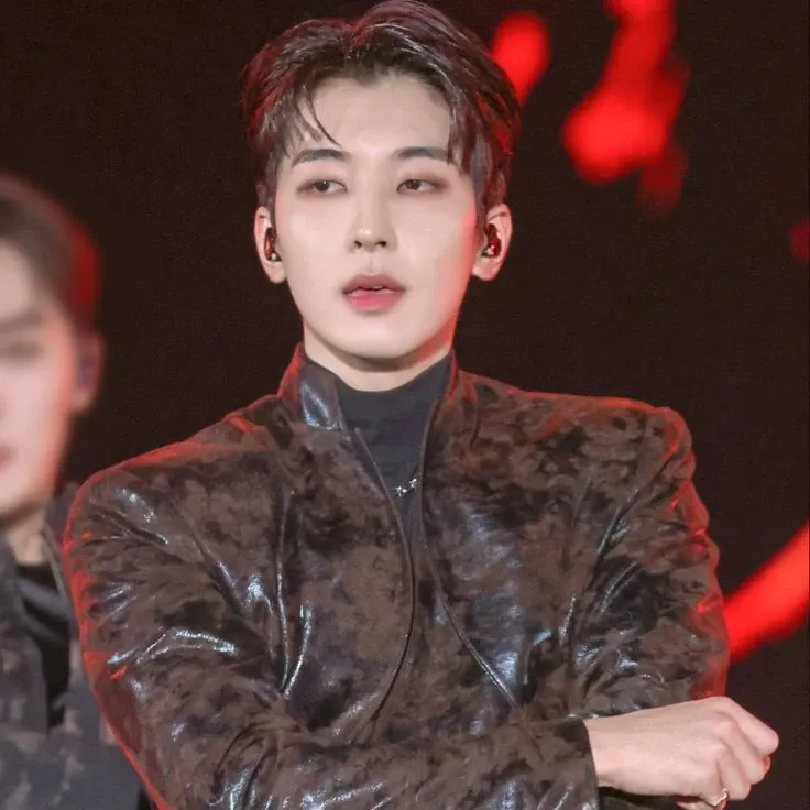 Recent activity shot of Wonwoo (SEVENTEEN)