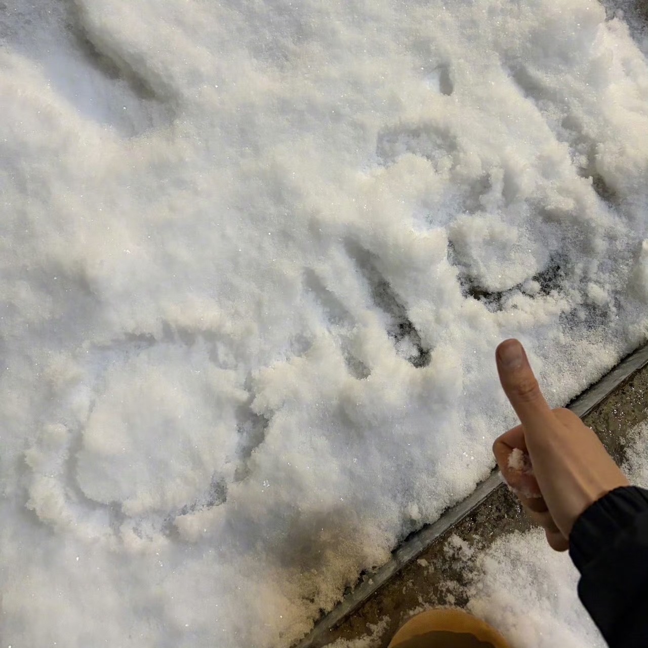 백현 (EXO) 팬이 찍은 순간