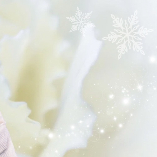 Latest photo of Yuki (NEXZ)