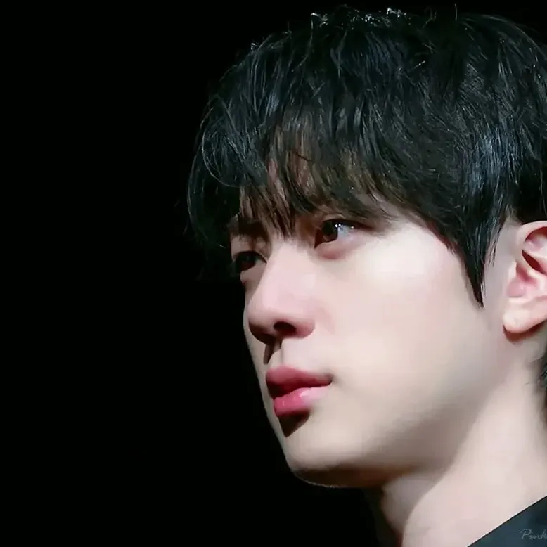 진 (방탄소년단) 팬이 찍은 순간