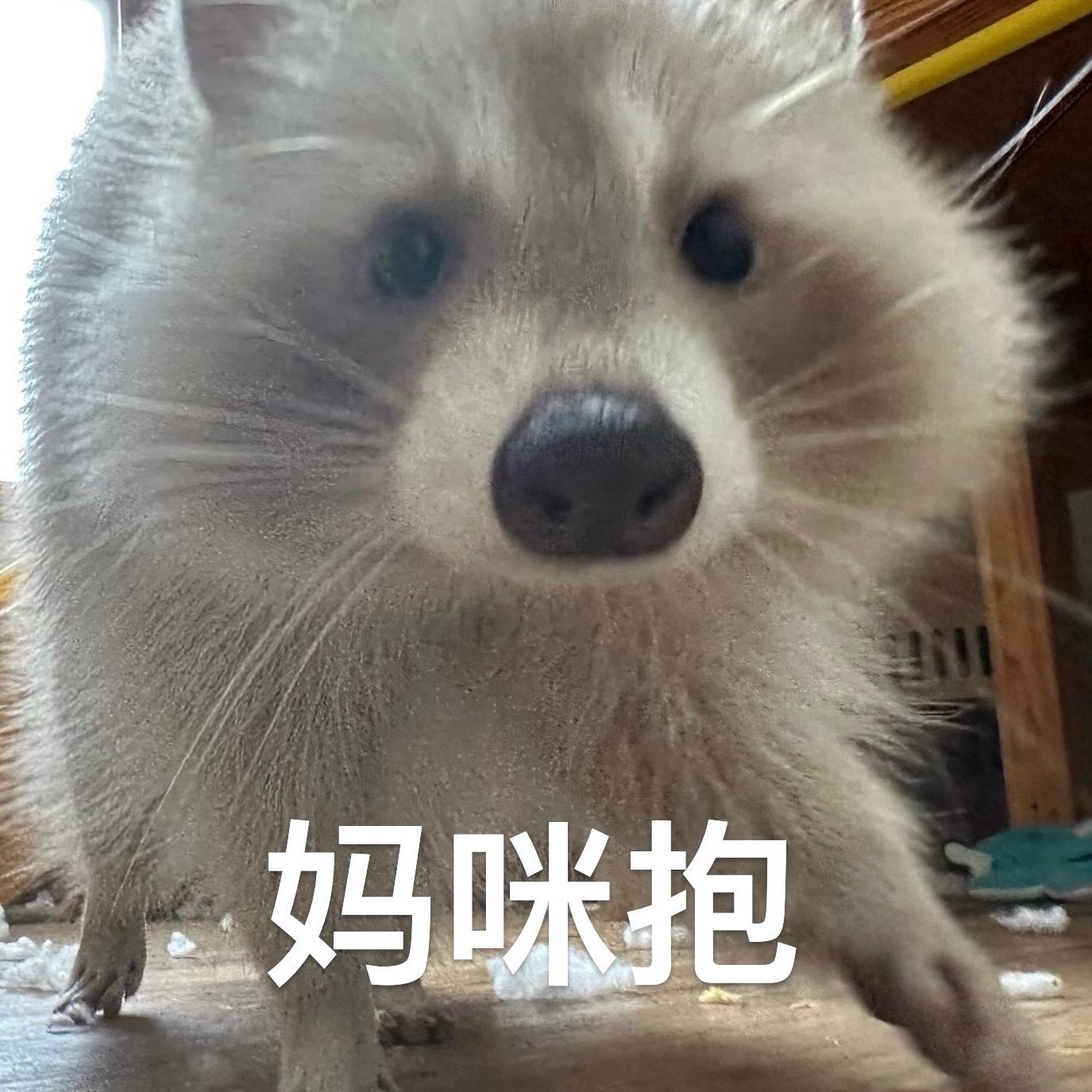 Latest photo of I.N (Stray Kids)