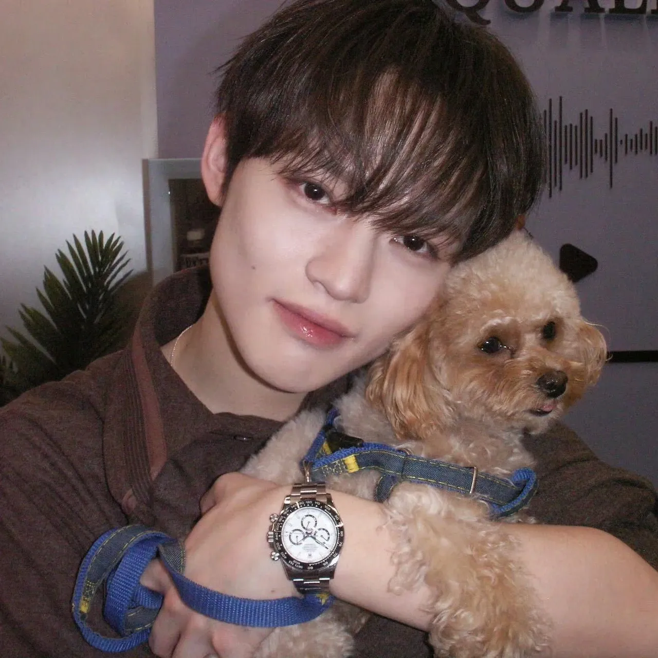 A moment captured by Chenle (NCT DREAM)'s fan