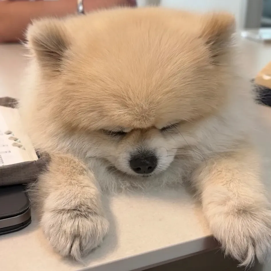 Latest photo of Xdinary Heroes