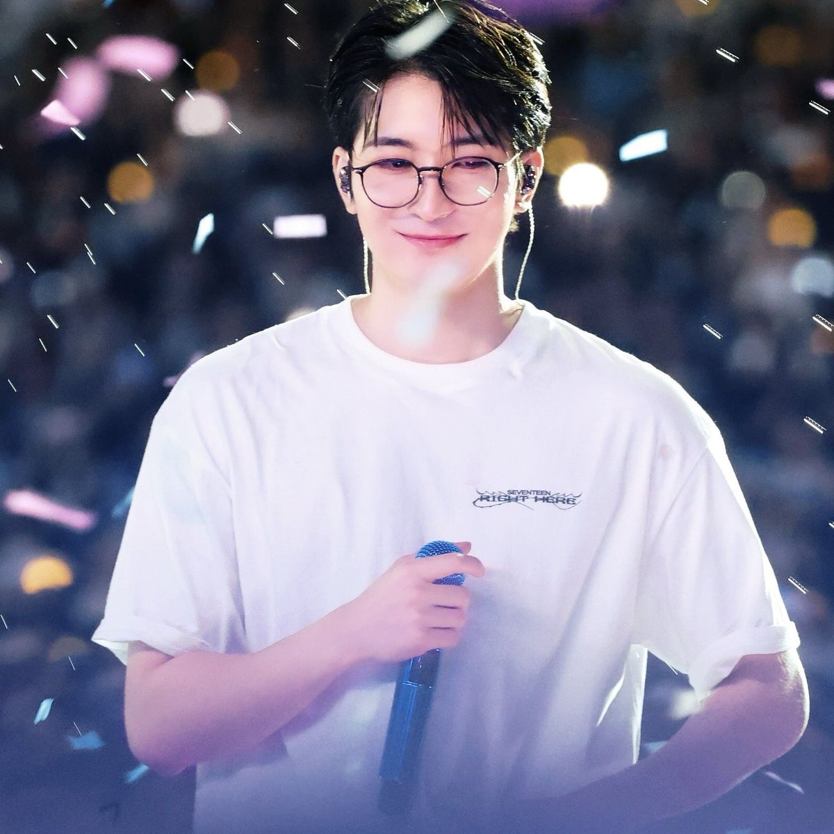 세븐틴 팬이 찍은 순간