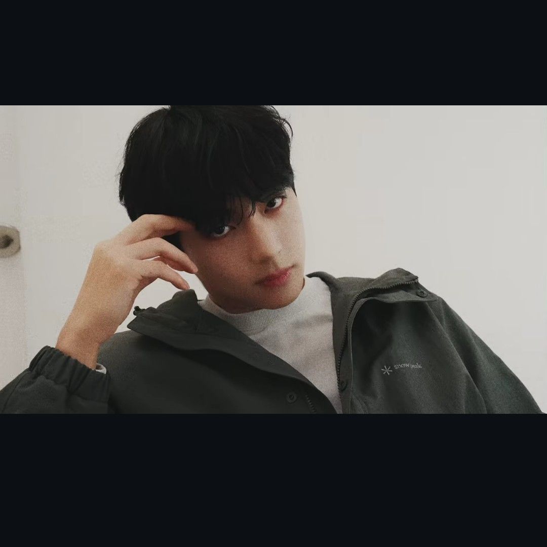 뷔 (방탄소년단) 팬이 찍은 순간