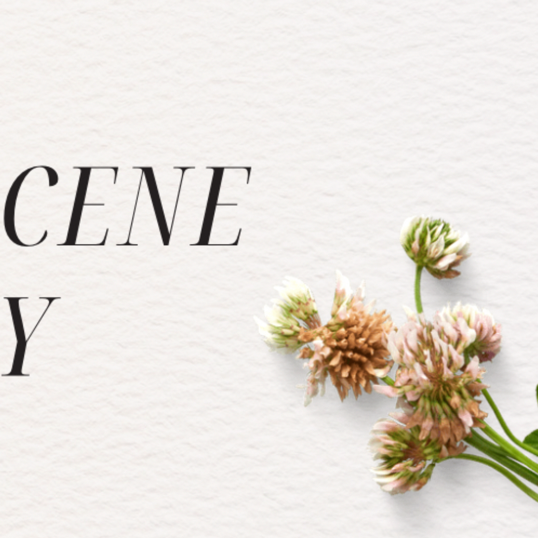 Recent activity shot of May (RESCENE)