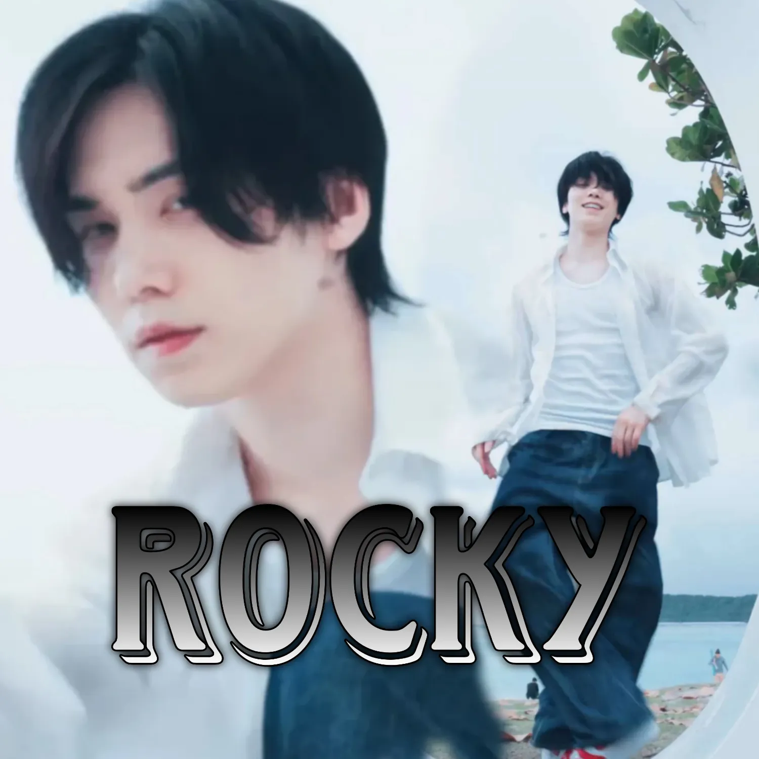 Recent activity shot of Rocky