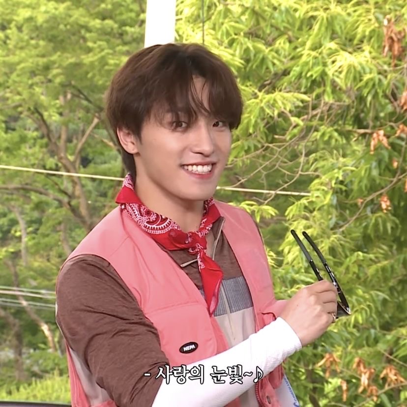 디노 (세븐틴) 팬이 찍은 순간