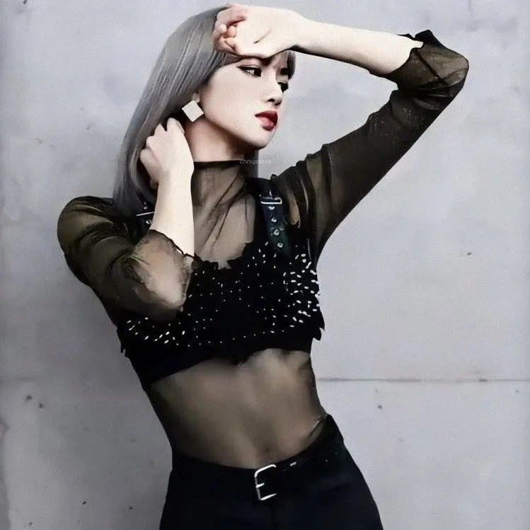 Momen yang diabadikan oleh penggemar Lisa (BLACKPINK)