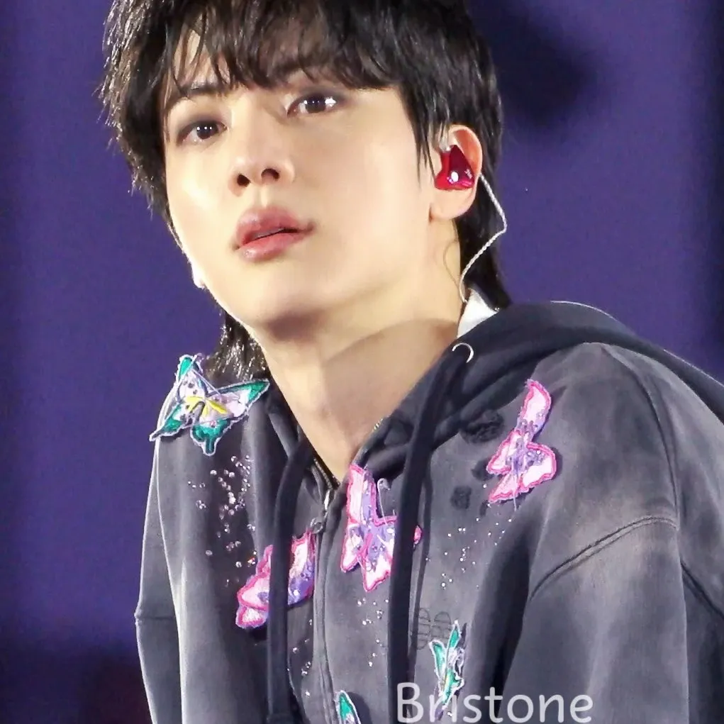 A moment captured by Jin (BTS)'s fan