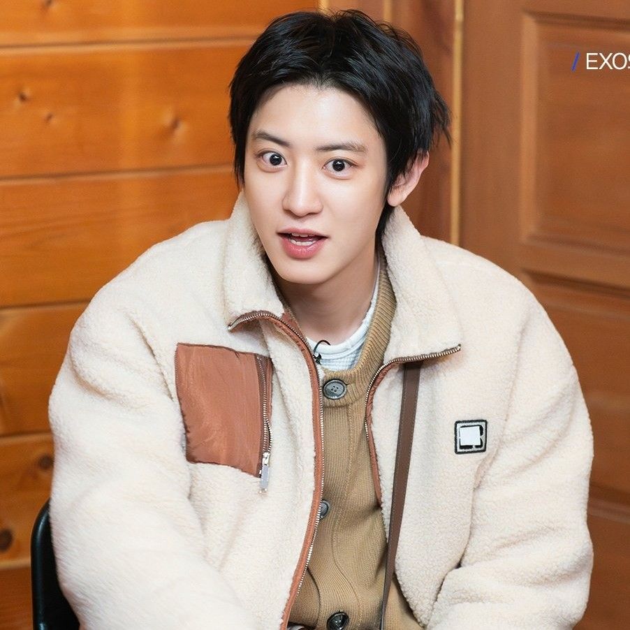 찬열 (EXO) 최근 활동샷