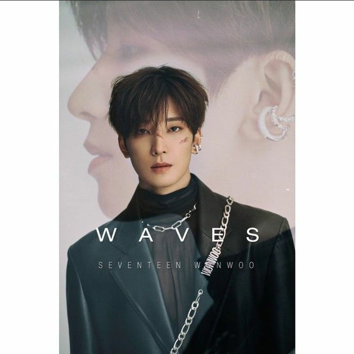 A moment captured by Wonwoo (SEVENTEEN)'s fan