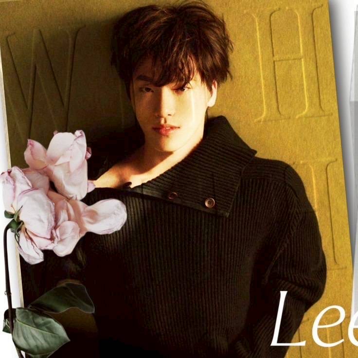 A moment captured by Dino (SEVENTEEN)'s fan