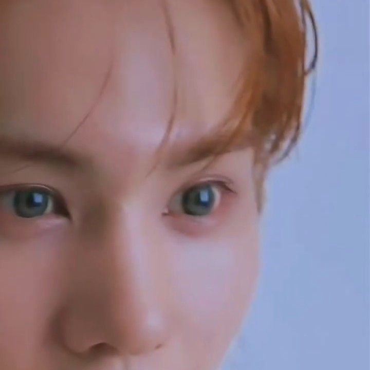 Recent activity shot of Rocky