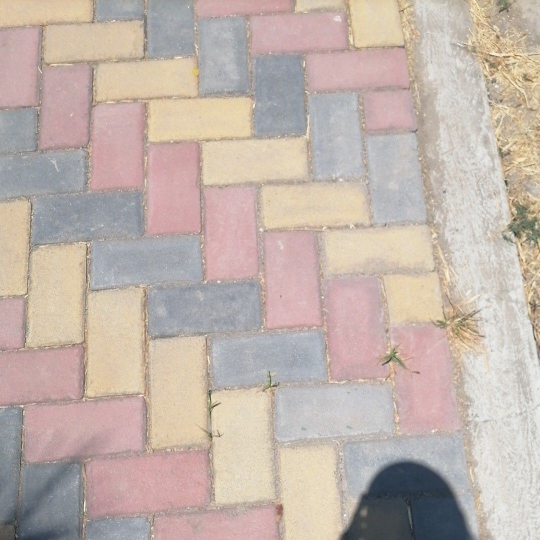 EXO 최근 활동샷