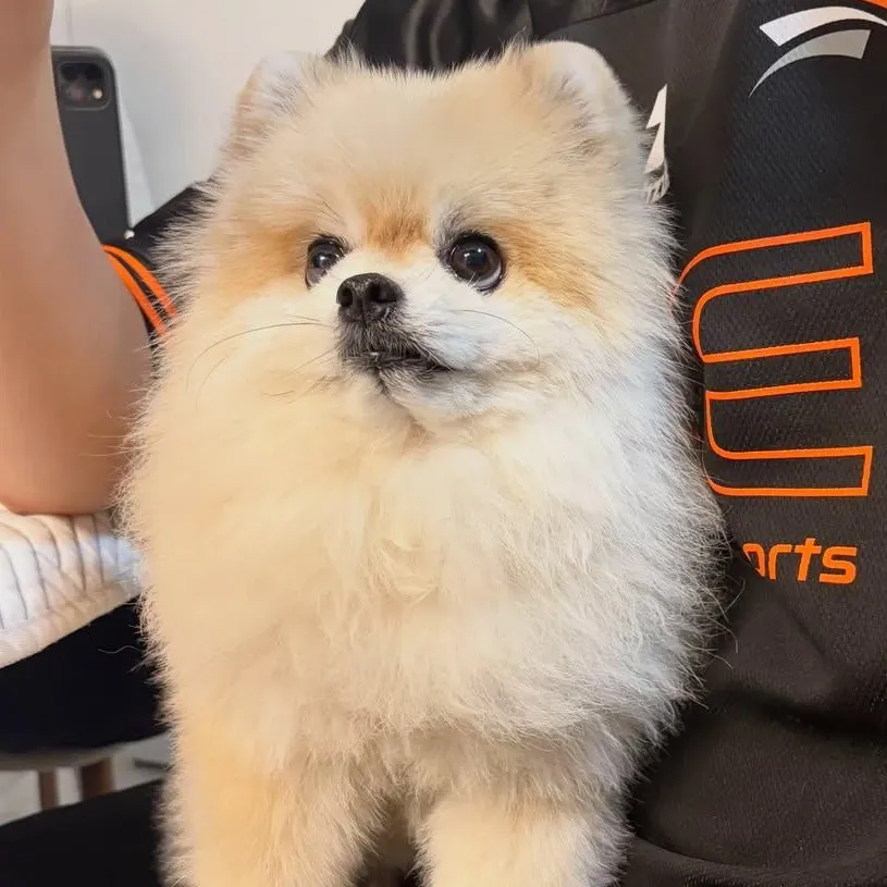 Behind-the-scenes cut of Moonbin (ASTRO)