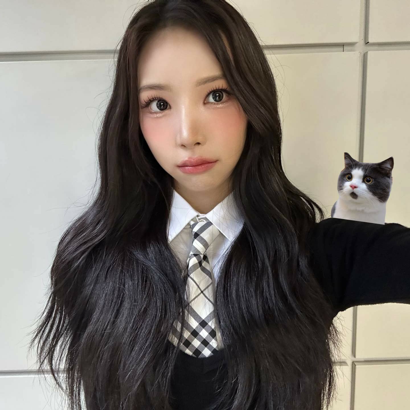 SECRET NUMBER의 최신 사진